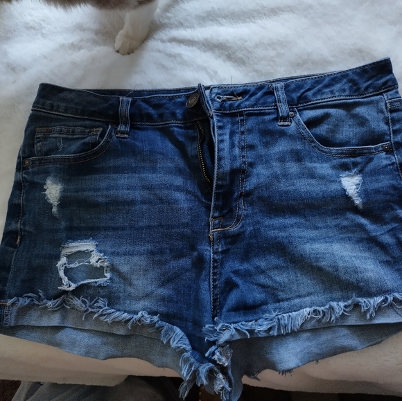 Clothes - Picture 11 of 16